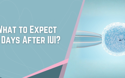 What to Expect 5 Days After IUI?