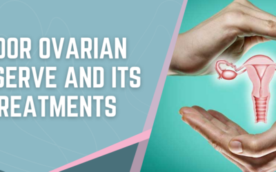 Poor Ovarian Reserve: How Can It Be Treated?