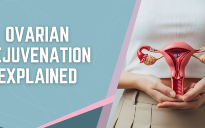 What Can Ovarian Rejuvenation Actually Do For You?