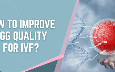 How to Improve Egg Quality for IVF?